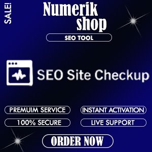 Seo site checkups